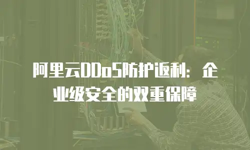 阿里云DDoS防护返利：企业级安全的双重保障