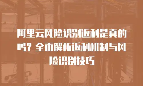 阿里云风险识别返利是真的吗？全面解析返利机制与风险识别技巧