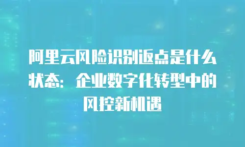 阿里云风险识别返点是什么状态：企业数字化转型中的风控新机遇