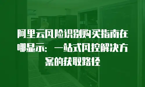 阿里云风险识别购买指南在哪显示：一站式风控解决方案的获取路径
