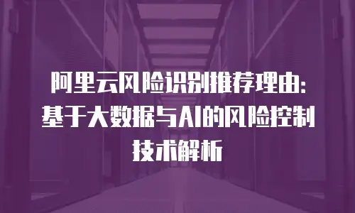 阿里云风险识别推荐理由：基于大数据与AI的风险控制技术解析