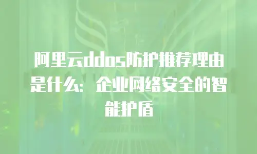 阿里云ddos防护推荐理由是什么：企业网络安全的智能护盾