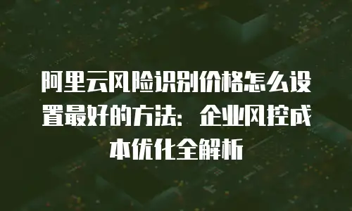 阿里云风险识别价格怎么设置最好的方法：企业风控成本优化全解析