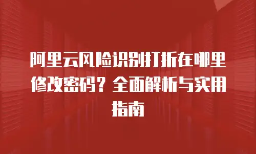 阿里云风险识别打折在哪里修改密码？全面解析与实用指南
