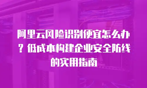 阿里云风险识别便宜怎么办？低成本构建企业安全防线的实用指南