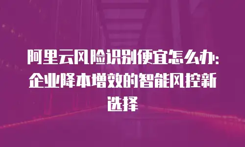 阿里云风险识别便宜怎么办：企业降本增效的智能风控新选择