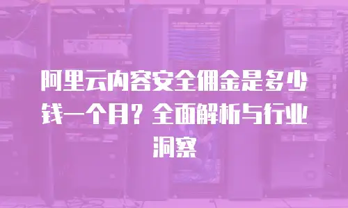 阿里云内容安全佣金是多少钱一个月？全面解析与行业洞察