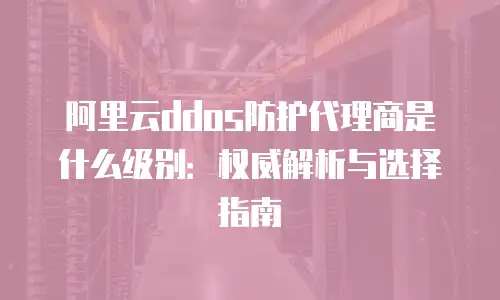 阿里云ddos防护代理商是什么级别：权威解析与选择指南