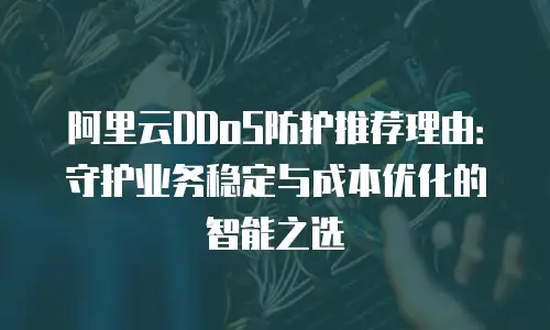 阿里云DDoS防护推荐理由：守护业务稳定与成本优化的智能之选