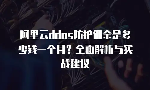 阿里云ddos防护佣金是多少钱一个月？全面解析与实战建议