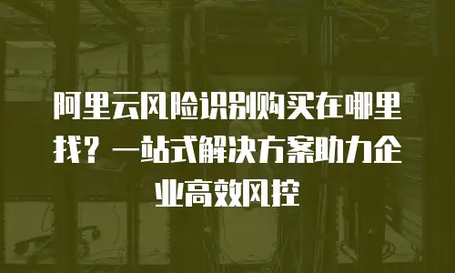 阿里云风险识别购买在哪里找？一站式解决方案助力企业高效风控