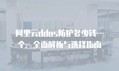 阿里云ddos防护多少钱一个：全面解析与选择指南