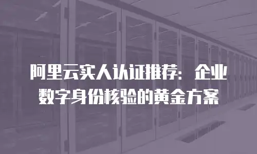 阿里云实人认证推荐：企业数字身份核验的黄金方案