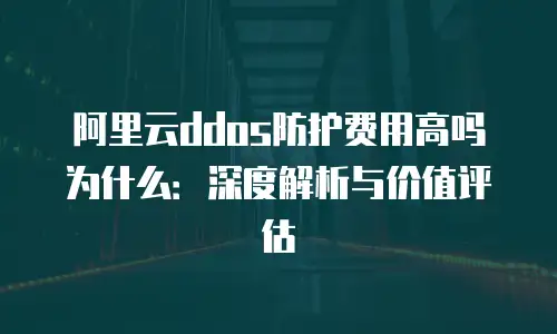 阿里云ddos防护费用高吗为什么：深度解析与价值评估