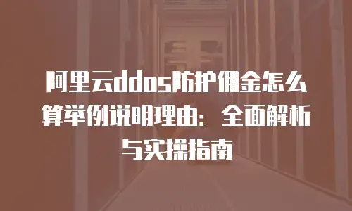 阿里云ddos防护佣金怎么算举例说明理由：全面解析与实操指南
