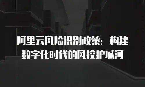 阿里云风险识别政策：构建数字化时代的风控护城河