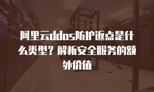 阿里云ddos防护返点是什么类型？解析安全服务的额外价值