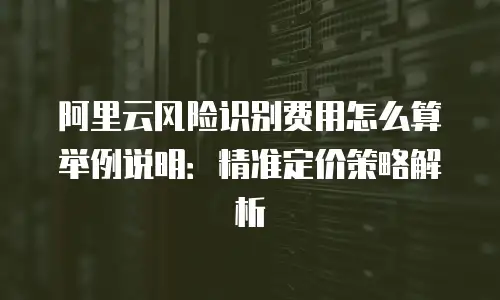 阿里云风险识别费用怎么算举例说明：精准定价策略解析