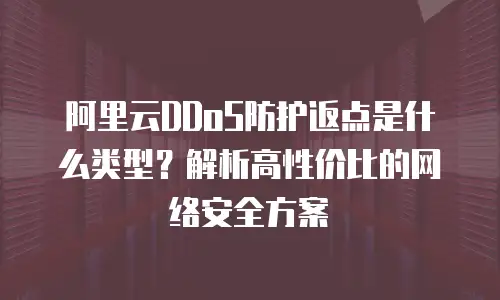 阿里云DDoS防护返点是什么类型？解析高性价比的网络安全方案