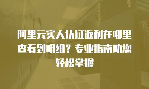 阿里云实人认证返利在哪里查看到明细？专业指南助您轻松掌握
