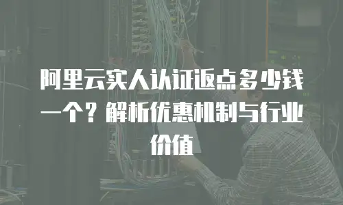 阿里云实人认证返点多少钱一个？解析优惠机制与行业价值