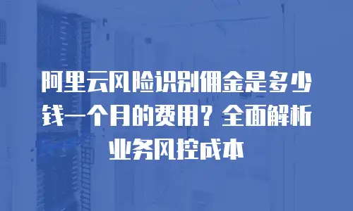 阿里云风险识别佣金是多少钱一个月的费用？全面解析业务风控成本