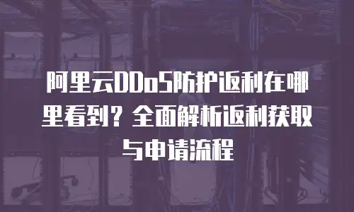 阿里云DDoS防护返利在哪里看到？全面解析返利获取与申请流程