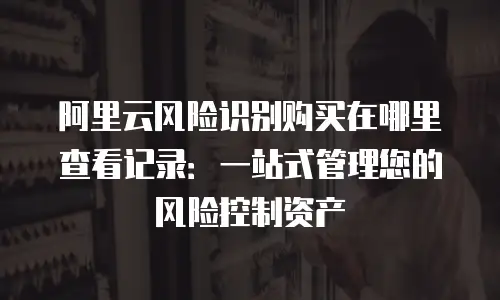 阿里云风险识别购买在哪里查看记录：一站式管理您的风险控制资产