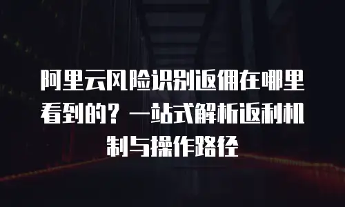 阿里云风险识别返佣在哪里看到的？一站式解析返利机制与操作路径