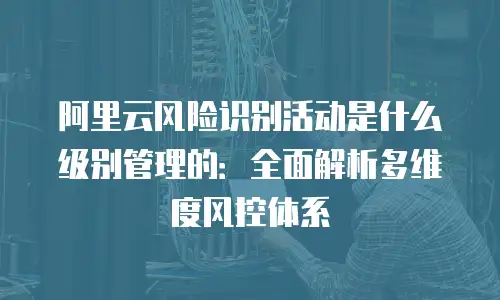 阿里云风险识别活动是什么级别管理的：全面解析多维度风控体系