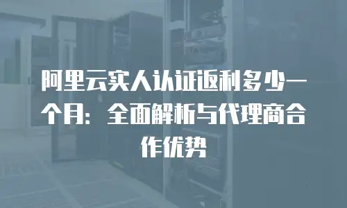 阿里云实人认证返利多少一个月：全面解析与代理商合作优势