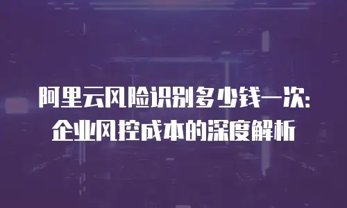 阿里云风险识别多少钱一次：企业风控成本的深度解析