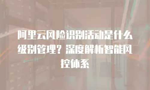 阿里云风险识别活动是什么级别管理？深度解析智能风控体系