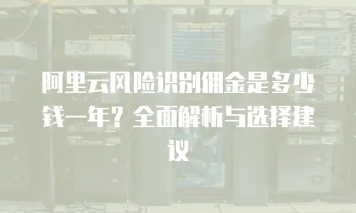 阿里云风险识别佣金是多少钱一年？全面解析与选择建议