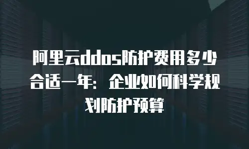 阿里云ddos防护费用多少合适一年：企业如何科学规划防护预算