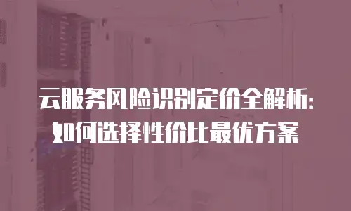 云服务风险识别定价全解析：如何选择性价比最优方案