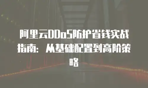 阿里云DDoS防护省钱实战指南：从基础配置到高阶策略