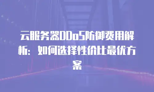 云服务器DDoS防御费用解析：如何选择性价比最优方案