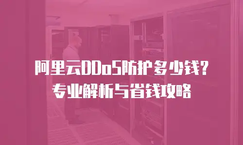 阿里云DDoS防护多少钱？专业解析与省钱攻略