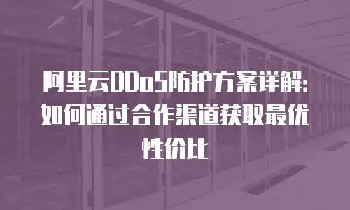 阿里云DDoS防护方案详解：如何通过合作渠道获取最优性价比