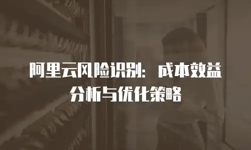 阿里云风险识别：成本效益分析与优化策略