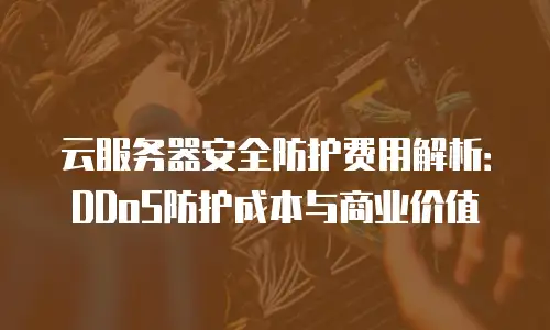 云服务器安全防护费用解析：DDoS防护成本与商业价值
