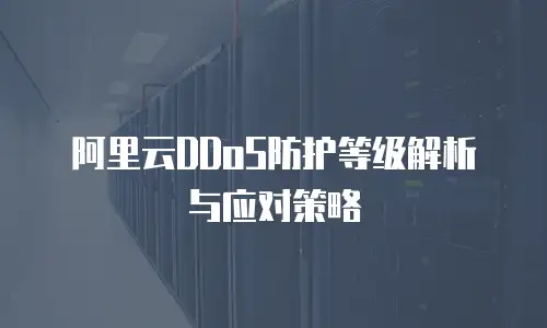 阿里云DDoS防护等级解析与应对策略