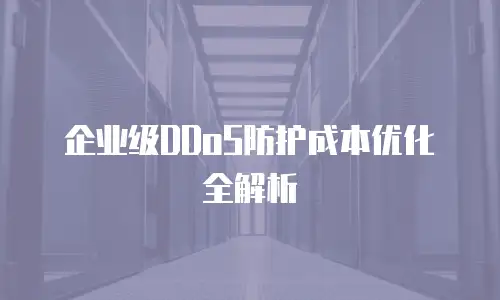 企业级DDoS防护成本优化全解析