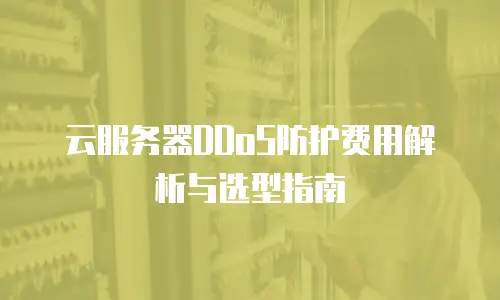 云服务器DDoS防护费用解析与选型指南
