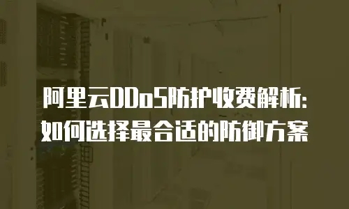 阿里云DDoS防护收费解析：如何选择最合适的防御方案