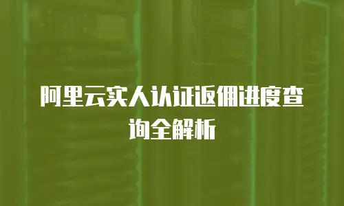 阿里云实人认证返佣进度查询全解析