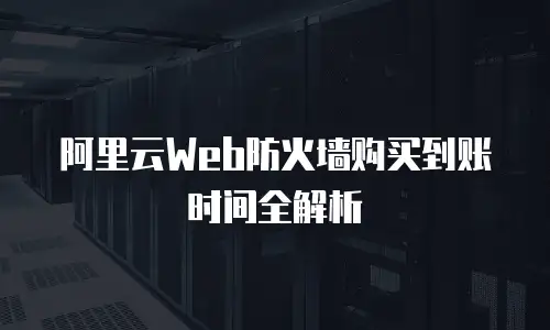 阿里云Web防火墙购买到账时间全解析