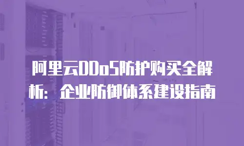 阿里云DDoS防护购买全解析：企业防御体系建设指南