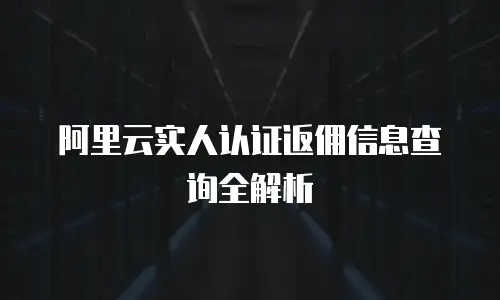 阿里云实人认证返佣信息查询全解析